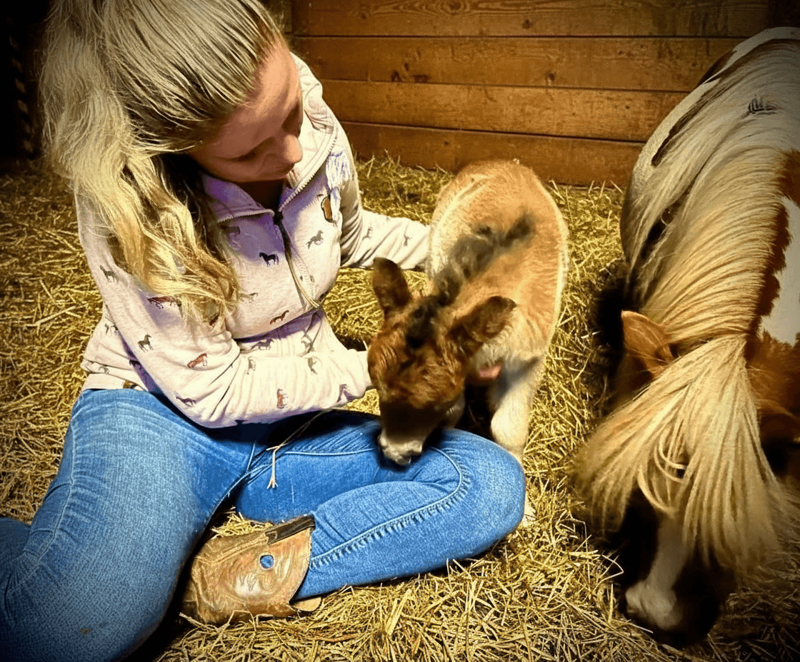 Über unsere Reitschule