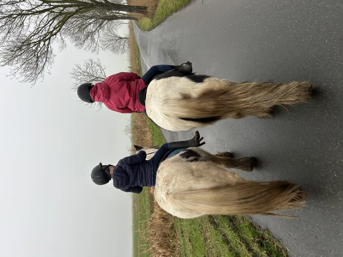 Reitunterricht